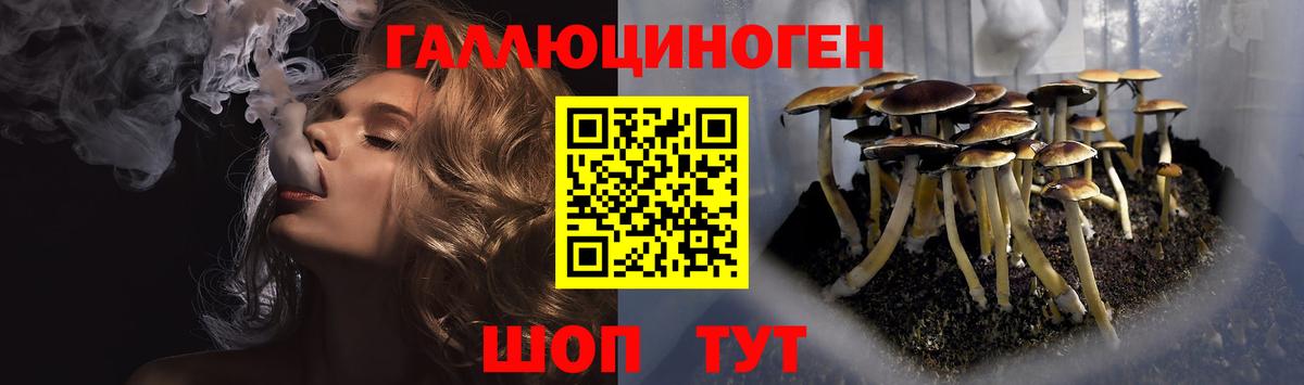Волоколамск  Галлюциногенные грибы MAGIC MUSHROOMS  Галлюциногенные грибы MAGIC MUSHROOMS  Вход с VPN 